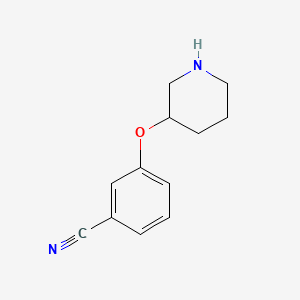 molecular formula C12H14N2O B1322126 3-(Piperidin-3-yloxy)benzonitrile CAS No. 902836-93-5