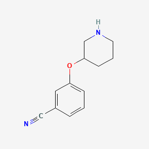 molecular formula C12H14N2O B1322126 3-(3-Piperidinyloxy)benzonitrile CAS No. 902836-93-5