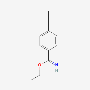 molecular formula C13H19NO B13225405 Ethyl 4-tert-butylbenzene-1-carboximidate 