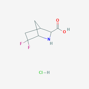 molecular formula C7H10ClF2NO2 B13225796 6,6-Difluoro-2-azabicyclo[2.2.1]heptane-3-carboxylic acid hydrochloride 