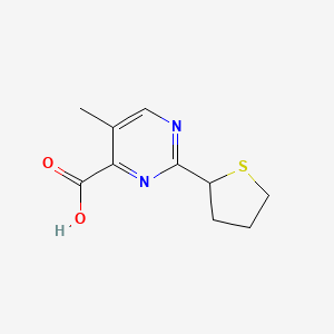 molecular formula C10H12N2O2S B13226053 5-Methyl-2-(thiolan-2-yl)pyrimidine-4-carboxylic acid 