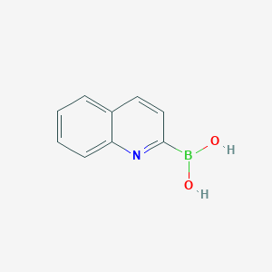 molecular formula C9H8BNO2 B1322661 Quinolin-2-ylboronic acid CAS No. 745784-12-7