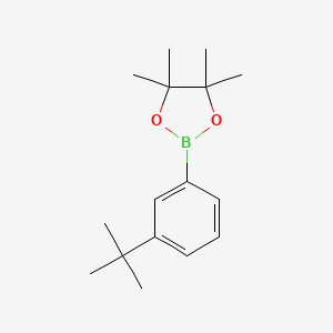 molecular formula C16H25BO2 B1322716 2-(3-Tert-butylphenyl)-4,4,5,5-tetramethyl-1,3,2-dioxaborolane 