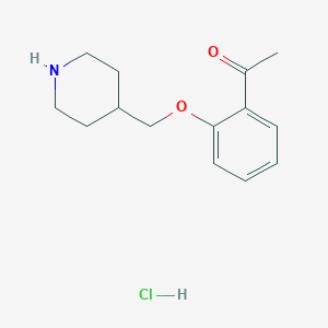 1-[2-(4-Piperidinylmethoxy)phenyl]-1-ethanone hydrochloride