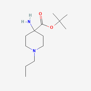 molecular formula C13H26N2O2 B13228072 tert-Butyl 4-amino-1-propylpiperidine-4-carboxylate 