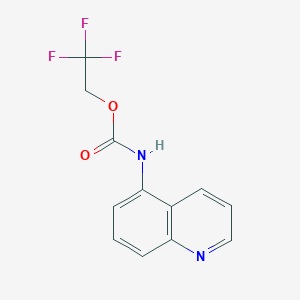 molecular formula C12H9F3N2O2 B13228532 2,2,2-Trifluoroethyl quinolin-5-ylcarbamate 