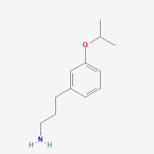 molecular formula C12H19NO B1323033 [3-(3-Isopropoxyphenyl)propyl]amine CAS No. 937661-87-5