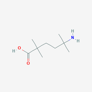 molecular formula C9H19NO2 B13231486 5-Amino-2,2,5-trimethylhexanoic acid 