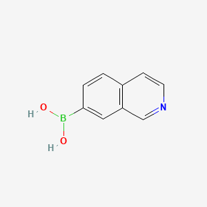 Isoquinolin-7-ylboronic acid