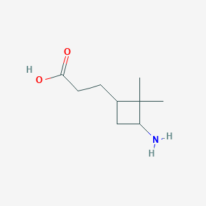 molecular formula C9H17NO2 B13232528 3-(3-Amino-2,2-dimethylcyclobutyl)propanoic acid 