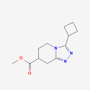 molecular formula C12H17N3O2 B13232571 Methyl 3-cyclobutyl-5H,6H,7H,8H-[1,2,4]triazolo[4,3-a]pyridine-7-carboxylate 