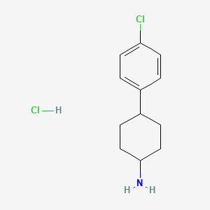 molecular formula C12H17Cl2N B13233707 4-(4-Chlorophenyl)cyclohexan-1-amine hydrochloride 