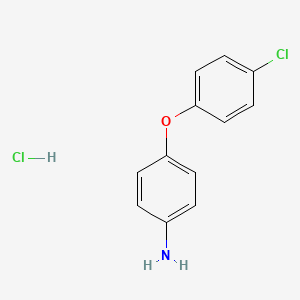 molecular formula C12H11Cl2NO B13233827 4-(4-chlorophenoxy)aniline Hydrochloride CAS No. 40859-51-6