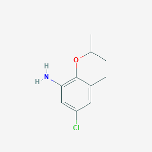 molecular formula C10H14ClNO B13233991 5-Chloro-3-methyl-2-(propan-2-yloxy)aniline 