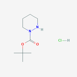 molecular formula C9H19ClN2O2 B13234232 Tert-butyl 1,2-diazinane-1-carboxylate hydrochloride 