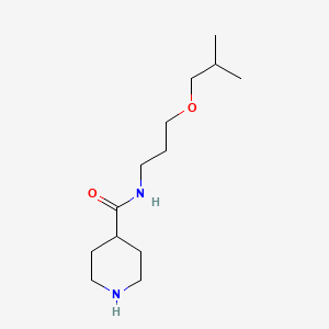 molecular formula C13H26N2O2 B13234857 N-(3-isobutoxypropyl)piperidine-4-carboxamide 