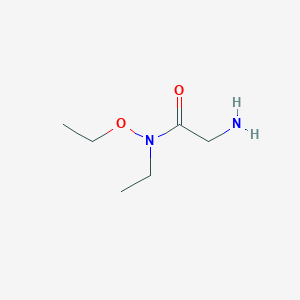 molecular formula C6H14N2O2 B13235296 2-Amino-N-ethoxy-N-ethylacetamide 