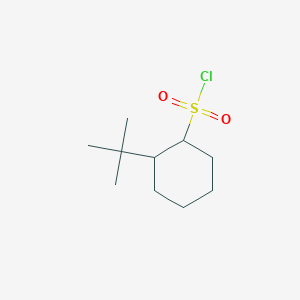 molecular formula C10H19ClO2S B13235803 2-Tert-butylcyclohexane-1-sulfonyl chloride 