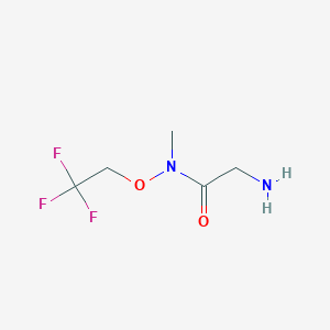 molecular formula C5H9F3N2O2 B13235987 2-Amino-N-methyl-N-(2,2,2-trifluoroethoxy)acetamide 
