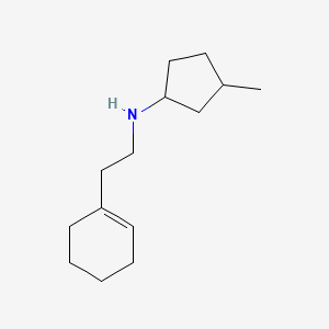 molecular formula C14H25N B13236235 N-[2-(Cyclohex-1-en-1-yl)ethyl]-3-methylcyclopentan-1-amine 