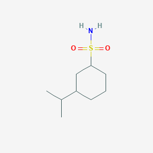 molecular formula C9H19NO2S B13236568 3-(Propan-2-yl)cyclohexane-1-sulfonamide 