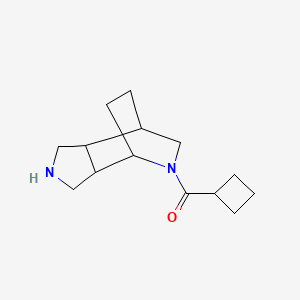 molecular formula C14H22N2O B13238742 8-Cyclobutanecarbonyl-4,8-diazatricyclo[5.2.2.0,2,6]undecane 