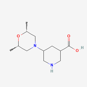 molecular formula C12H22N2O3 B13239099 5-[(2R,6S)-2,6-Dimethylmorpholin-4-yl]piperidine-3-carboxylic acid 