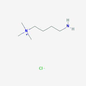 molecular formula C7H19ClN2 B13239273 (4-Aminobutyl)trimethylazanium chloride 