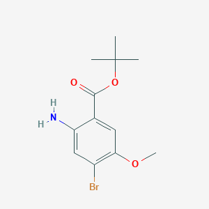 molecular formula C12H16BrNO3 B13240094 tert-Butyl 2-amino-4-bromo-5-methoxybenzoate 