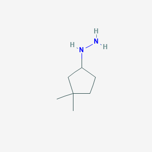 molecular formula C7H16N2 B13240183 (3,3-Dimethylcyclopentyl)hydrazine 