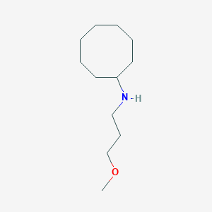 molecular formula C12H25NO B13241568 N-(3-methoxypropyl)cyclooctanamine 