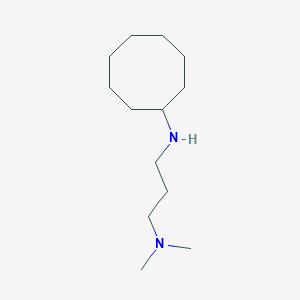 molecular formula C13H28N2 B13241578 [3-(Cyclooctylamino)propyl]dimethylamine 