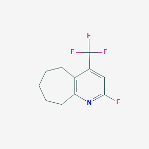 molecular formula C11H11F4N B13241579 2-Fluoro-4-(trifluoromethyl)-5H,6H,7H,8H,9H-cyclohepta[b]pyridine 