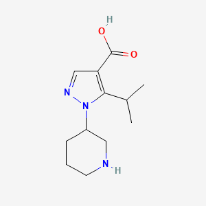 molecular formula C12H19N3O2 B13242171 1-(Piperidin-3-yl)-5-(propan-2-yl)-1H-pyrazole-4-carboxylic acid 