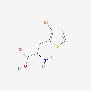 molecular formula C7H8BrNO2S B13242775 (2S)-2-amino-3-(3-bromothiophen-2-yl)propanoic acid 
