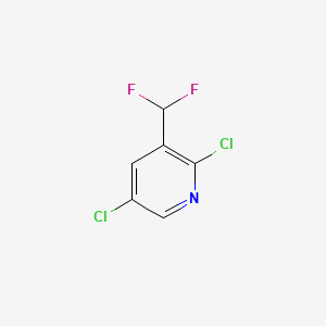 molecular formula C6H3Cl2F2N B1324320 2,5-二氯-3-(二氟甲基)吡啶 CAS No. 71701-93-4