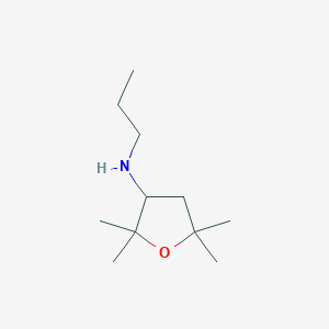 molecular formula C11H23NO B13243951 2,2,5,5-tetramethyl-N-propyloxolan-3-amine 
