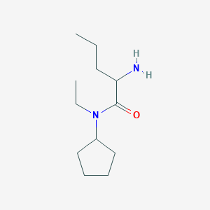 molecular formula C12H24N2O B13245084 2-amino-N-cyclopentyl-N-ethylpentanamide 