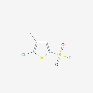 molecular formula C5H4ClFO2S2 B13245106 5-Chloro-4-methylthiophene-2-sulfonyl fluoride 