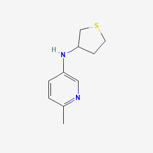molecular formula C10H14N2S B13245316 6-methyl-N-(thiolan-3-yl)pyridin-3-amine 
