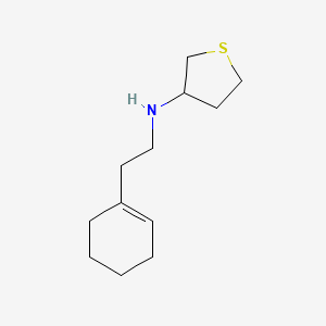 molecular formula C12H21NS B13245421 N-[2-(Cyclohex-1-en-1-yl)ethyl]thiolan-3-amine 
