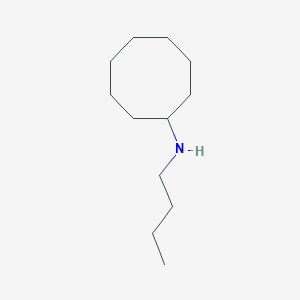 molecular formula C12H25N B13245551 N-butylcyclooctanamine 