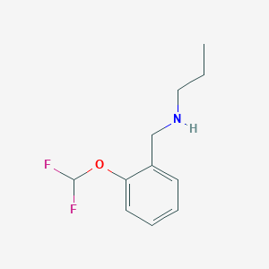 molecular formula C11H15F2NO B13245730 {[2-(Difluoromethoxy)phenyl]methyl}(propyl)amine 