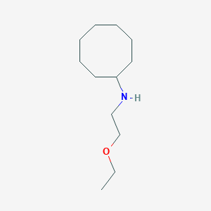 molecular formula C12H25NO B13245738 N-(2-ethoxyethyl)cyclooctanamine 