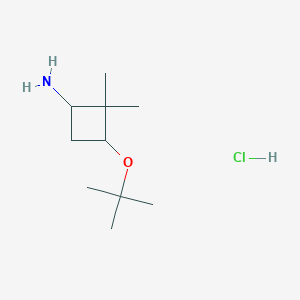 molecular formula C10H22ClNO B13245784 3-(tert-Butoxy)-2,2-dimethylcyclobutan-1-amine hydrochloride 