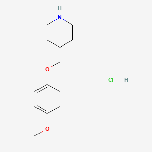 molecular formula C13H20ClNO2 B1324584 4-(4-Methoxy-phenoxymethyl)-piperidine hydrochloride CAS No. 1135262-90-6