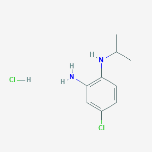 molecular formula C9H14Cl2N2 B13246173 4-chloro-N1-(propan-2-yl)benzene-1,2-diamine hydrochloride 