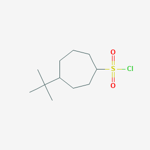 molecular formula C11H21ClO2S B13246193 4-Tert-butylcycloheptane-1-sulfonyl chloride 