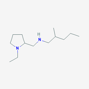 molecular formula C13H28N2 B13246340 [(1-Ethylpyrrolidin-2-yl)methyl](2-methylpentyl)amine 