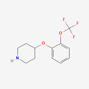 molecular formula C12H14F3NO2 B1324896 4-(2-(Trifluoromethoxy)phenoxy)piperidine CAS No. 902836-49-1